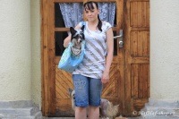 FOTO – Luxusní prostorná kabelka/taška na psy z kolekce Urban Pup, řada Summer Rose. Doporučená maximální váha psa 8 kg (4).