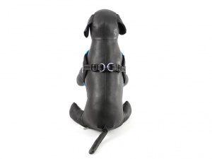 Postroje pro psy – modrý hrudní postroj Doodlebone Airmesh Boomerang Blue (3)