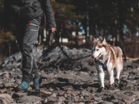  Boty pro psy Non-stop Protector Bootie ochrání tlapky vašich psů před drsným terénem při outdoorových aktivitách, rozpáleným asfaltem i při běžných procházkách ve městě. 4 ks v balení. (4)