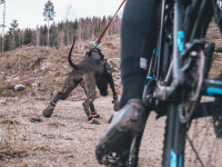  Boty pro psy Non-stop Protector Bootie ochrání tlapky vašich psů před drsným terénem při outdoorových aktivitách, rozpáleným asfaltem i při běžných procházkách ve městě. 4 ks v balení. (6)