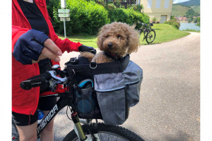  Přepravní box-taška na psa k připevnění na kolo od AFP, FOTO zákazníků (3)