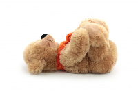 Plyšová hračka pro psy – medvídek. Příjemný měkoučký materiál, při stisknutí píská, barva světle hnědá. (3)