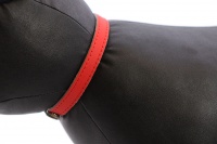 Luxusní kožený obojek pro kočky BOBBY – červený s reflexními prvky. Místo na vepsání adresy, klasické zapínání s bezpečnostní gumou, univerzální velikost (3).