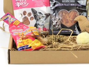 Dárkový balíček pro kočky s lahodnými kočičími pamlsky a hned třemi hračkami, detail (2)