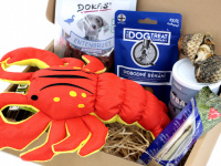  Dárkový balíček pro psy s pamlsky a velkou plyšovou hračkou. V dárkovém balení včetně mašle. (4)