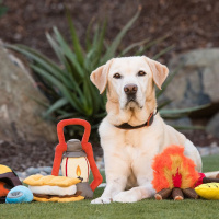  Exkluzivní dárkový box pro psy s hračkami CAMPING – FOTO 2