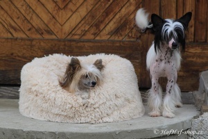 FOTO – Huňatý pelíšek pro psy i kočky od I LOVE PETS – měkké bočnice, vyjímatelný polštář, materiál luxusní soft fleece s dlouhým vlasem (3).