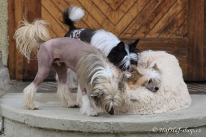 FOTO – Huňatý pelíšek pro psy i kočky od I LOVE PETS – měkké bočnice, vyjímatelný polštář, materiál luxusní soft fleece s dlouhým vlasem (5).