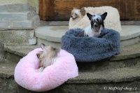 FOTO – Huňatý pelíšek pro psy i kočky od I LOVE PETS – měkké bočnice, vyjímatelný polštář, materiál luxusní soft fleece s dlouhým vlasem, růžový (4).