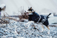  Univerzální outdoorová pláštěnka pro psy s termoizolací HURTTA Drizzle Coat určená do nejnáročnějších podmínek. Černá. (4)