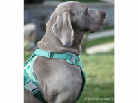    Ergonomický nastavitelný postroj pro psy HURTTA z měkkého prodyšného polyesteru se zvýšenou odolností vůči povětrnostním vlivům. Barva zelená, vzor Park CAMO. (FOTO 5)