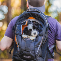  Luxusní batoh na psa s nosností 11 kg KURGO G-Train K9, barva černá (detail 17)