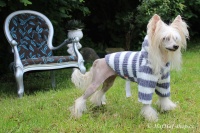 FOTO – Obleček pro psy i fenky – šedobílá mikina z měkoučké pleteniny (2)
