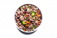  Mixáno do špajzu – měkké krmivo pro psy s kuřecím masem, čerstvou zeleninou a bylinkami (2)