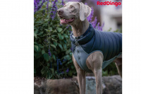  Oboustranná zimní bunda pro psy i fenky od RD, barva černá/šedá (3)