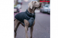  Oboustranná zimní bunda pro psy i fenky od RD, barva černá/šedá (4)