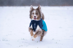 Lehká, větruodolná a nepromokavá zimní bunda Non-stop dogwear Glacier jacket 2.0 v elegantní tmavě modro-tyrkysové kombinaci (3)
