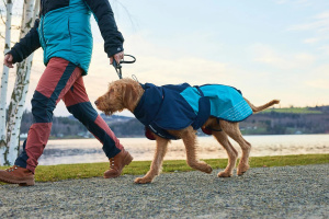 Lehká, větruodolná a nepromokavá zimní bunda Non-stop dogwear Glacier jacket 2.0 v elegantní tmavě modro-tyrkysové kombinaci (5)