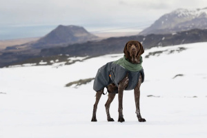 Nepromokavá zimní bunda Non-stop dogwear Glacier wool jacket 2.0 v zeleno-šedé kombinaci spojuje špičkovou izolaci Ultron & PrimaLoft® s podšívkou ze 100% merino vlny (8)