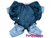 Obleček pro psy – zimní overal FMD BLUE BONE, barva modrá (4)