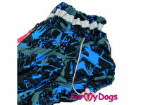  Zimní obleček pro psy jezevčíků od FMD – overal BLUE FLUID (2)