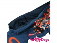 Obleček pro psy – sinteponem zateplený zimní overal GRAY od ForMyDogs. Vylepšené zapínání na zádech, odnímatelná kapuce, hedvábná podšívka. (6)