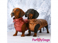 Obleček pro psy i fenky jezevčíků od FMD – zimní bunda BURGUNDY z voduodpuzujícího materiálu. Bunda je zateplená sinteponem a má kožešinovou podšívku. (8)