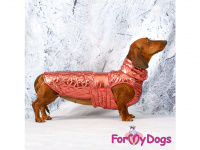 Obleček pro psy i fenky jezevčíků od FMD – zimní bunda BURGUNDY z voduodpuzujícího materiálu. Bunda je zateplená sinteponem a má kožešinovou podšívku. (7)