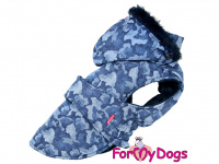  Obleček pro psy i fenky od FMD – zimní bunda CAPARISON BLUE z voduodpuzujícího materiálu. Bunda je zateplená sinteponem a má kožešinovou podšívku.