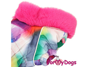  Obleček pro fenky jezevčíků – teplý zimní overal COLOURS od ForMyDogs z voduodpudivého materiálu. Detail límce.