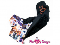  Obleček pro psy – sinteponem zateplený zimní overal DOGS od ForMyDogs. Vylepšené zapínání na zádech, odnímatelná kapuce, plyšová podšívka. (4)