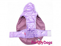   Obleček pro psy i fenky malých až středních plemen – zimní bunda LILIAC od ForMyDogs. Barva fialová. (5)