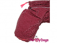  Obleček pro fenky – zateplený zimní overal MAROON od For My Dogs z voduodpuzujícího materiálu (6)