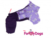   Obleček pro fenky – fialový, sinteponem zateplený zimní overal PURPLE DOTS od ForMyDogs. Hedvábná podšívka, barva fialová. (4)