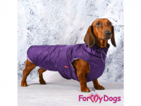 Obleček pro psy i fenky jezevčíků od FMD – zimní bunda PURPLE z voduodpuzujícího materiálu. Bunda je zateplená sinteponem a má kožešinovou podšívku. (5)