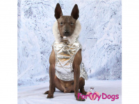      Obleček pro psy i fenky malých až středních plemen – zimní bunda SILVER od ForMyDogs. Barva stříbrná. (FOTO 6)
