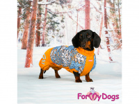  Obleček pro psy jezevčíků – teplý zimní overal TERRACOTTA BLUE od ForMyDogs z voduodpudivého materiálu. Zapínání na zádech, podšívka z plyšové kožešiny. (7)