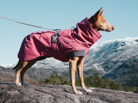   Outdoorový zimní obleček pro psy pro jejich dokonalý teplotní a pocitový komfort. Voděodolný a snadno udržovatelný materiál, termoizolační podšívka, 3M reflexní prvky. Barva červená. (4)