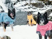   Outdoorový zimní obleček pro psy pro jejich dokonalý teplotní a pocitový komfort. Voděodolný a snadno udržovatelný materiál, termoizolační podšívka, 3M reflexní prvky. Barva červená. (6)