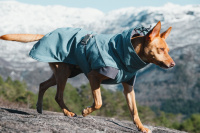    HURTTA – Outdoorový zimní obleček pro psy pro jejich dokonalý teplotní a pocitový komfort. Voděodolný a snadno udržovatelný materiál, termoizolační podšívka, 3M reflexní prvky. Barva modrá – borůvková. (3)