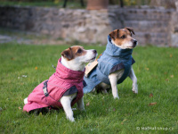   Outdoorový zimní obleček pro psy pro jejich dokonalý teplotní a pocitový komfort. Voděodolný a snadno udržovatelný materiál, termoizolační podšívka, 3M reflexní prvky. Barva červená. (FOTO 2)