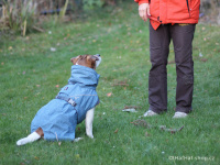   Outdoorový zimní obleček pro psy pro jejich dokonalý teplotní a pocitový komfort. Voděodolný a snadno udržovatelný materiál, termoizolační podšívka, 3M reflexní prvky. Barva modrá (FOTO 2).