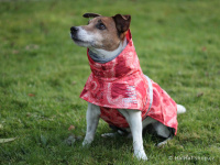   Extra zateplený outdoorový zimní obleček pro psy HURTTA. Voděodolný a snadno udržovatelný materiál, termoizolační folie udržující teplo, 3M reflexní prvky. Barva červená, vzor CORAL CAMO. (FOTO 2)