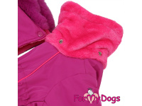  Nový typ zatepleného zimního overalu pro fenky FUCHSIA od For My Dogs. Svršek nepromokavá membrána s teflonem, zateplený sinteponem (5)