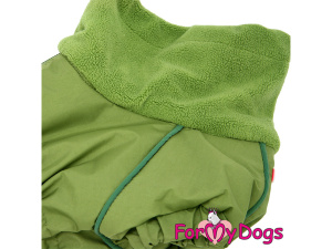  Nový typ zatepleného zimního oblečku pro psy jezevčíků – teplý overal GREEN od ForMyDogs, detail límce