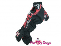  Obleček pro fenky jezevčíků – lehoučká pláštěnka BLACK/RED FLOWERS od ForMyDogs. Zapínání na zip na zádech, zvýšený límec. (4)