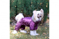 Obleček pro fenky – teplý zimní overal BERRY VIOLET od ForMyDogs z voduodpuzujícího materiálu s hedvábnou podšívkou. Barva fialová. (foto)
