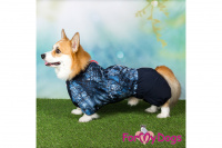 Obleček pro psy jezevčíků – lehoučká pláštěnka BLUE DENIM od ForMyDogs. (10)