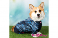Obleček pro psy jezevčíků – lehoučká pláštěnka BLUE DENIM od ForMyDogs. (11)