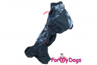 Obleček pro psy jezevčíků – lehoučká pláštěnka BLUE DENIM od ForMyDogs. (4)